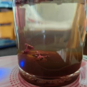 ZenRoots“轻盈混合茶”——祛湿助消化茶